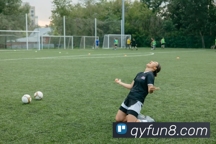 App Interface Preview